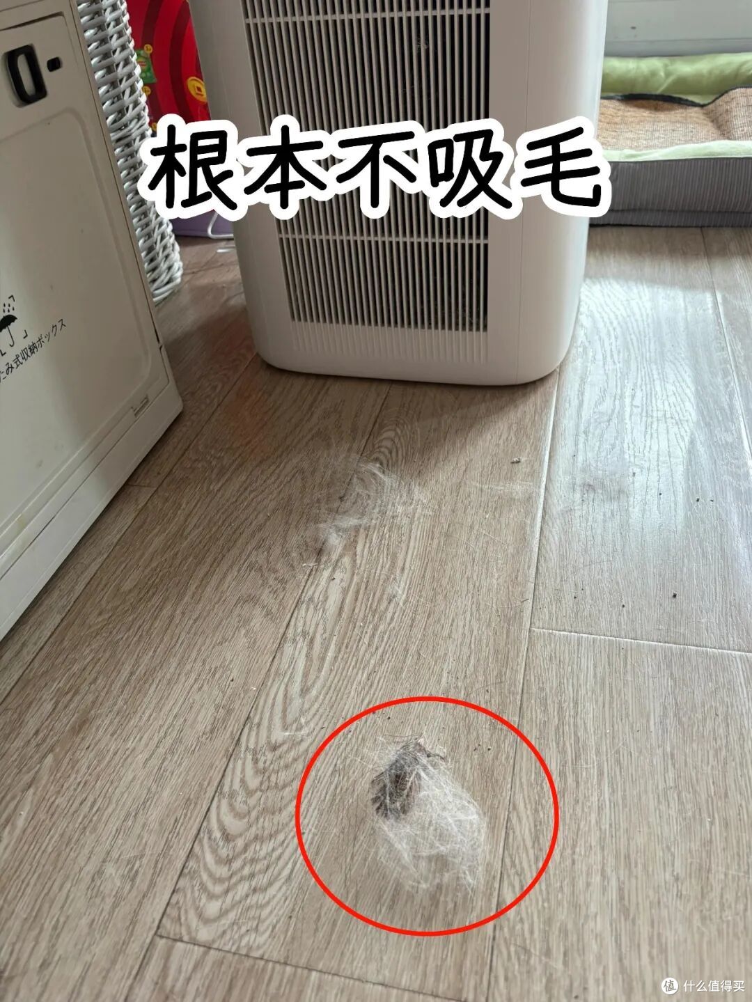 正在热销的4个鸡肋家电,快速收割你的钱包,网友:都是智商税