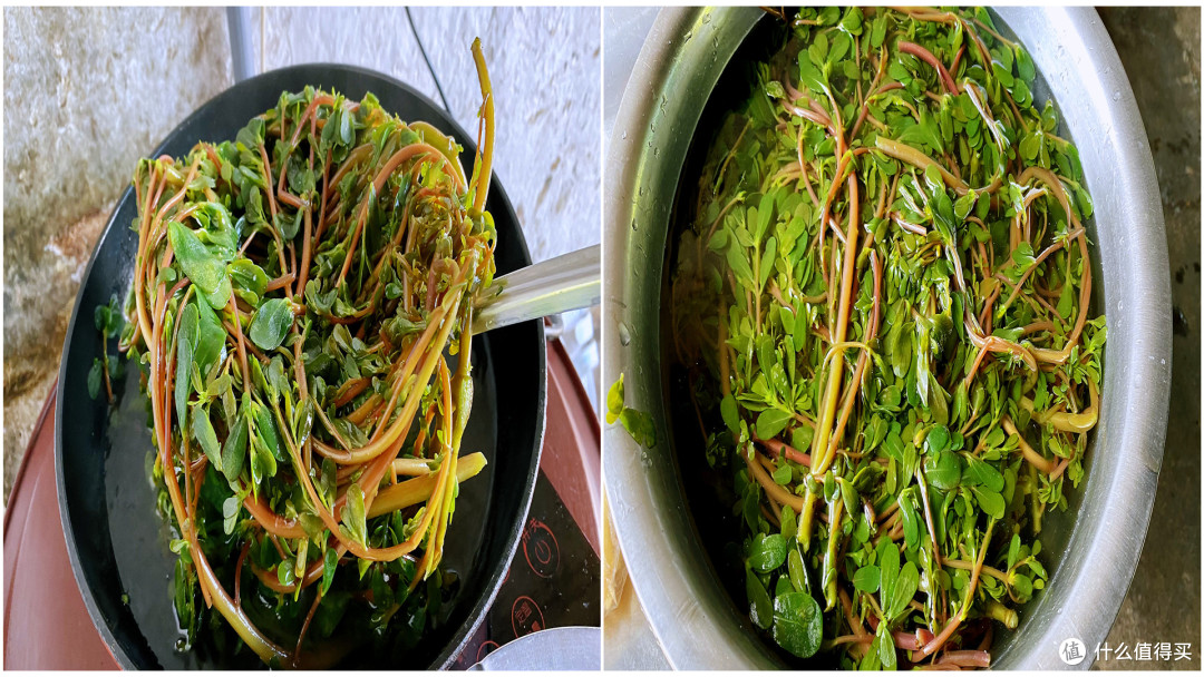 10月最该晒的菜，比茄子干、豆角干更好吃，更营养，3天就晒好。