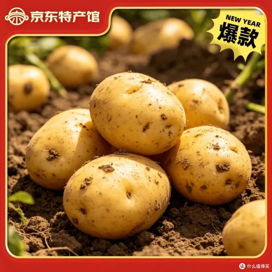母亲与土豆的耕作记忆