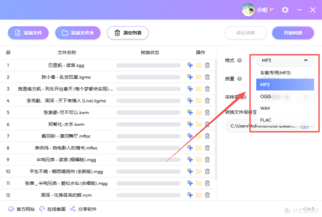 图：输出格式下拉：MP3（含「车载专用(MP3)」预设）/ FLAC / WAV / OGG