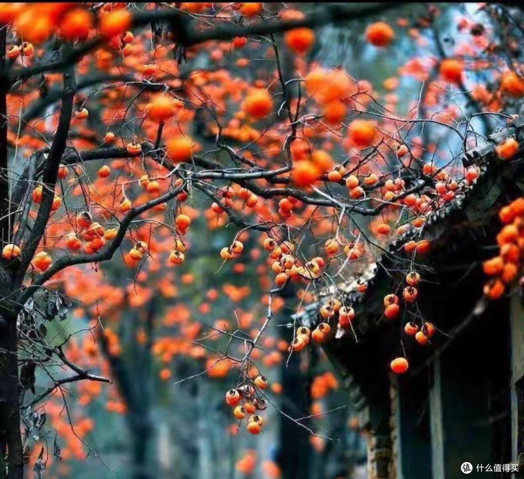 不运动买蛋白粉,我按这三条筛的