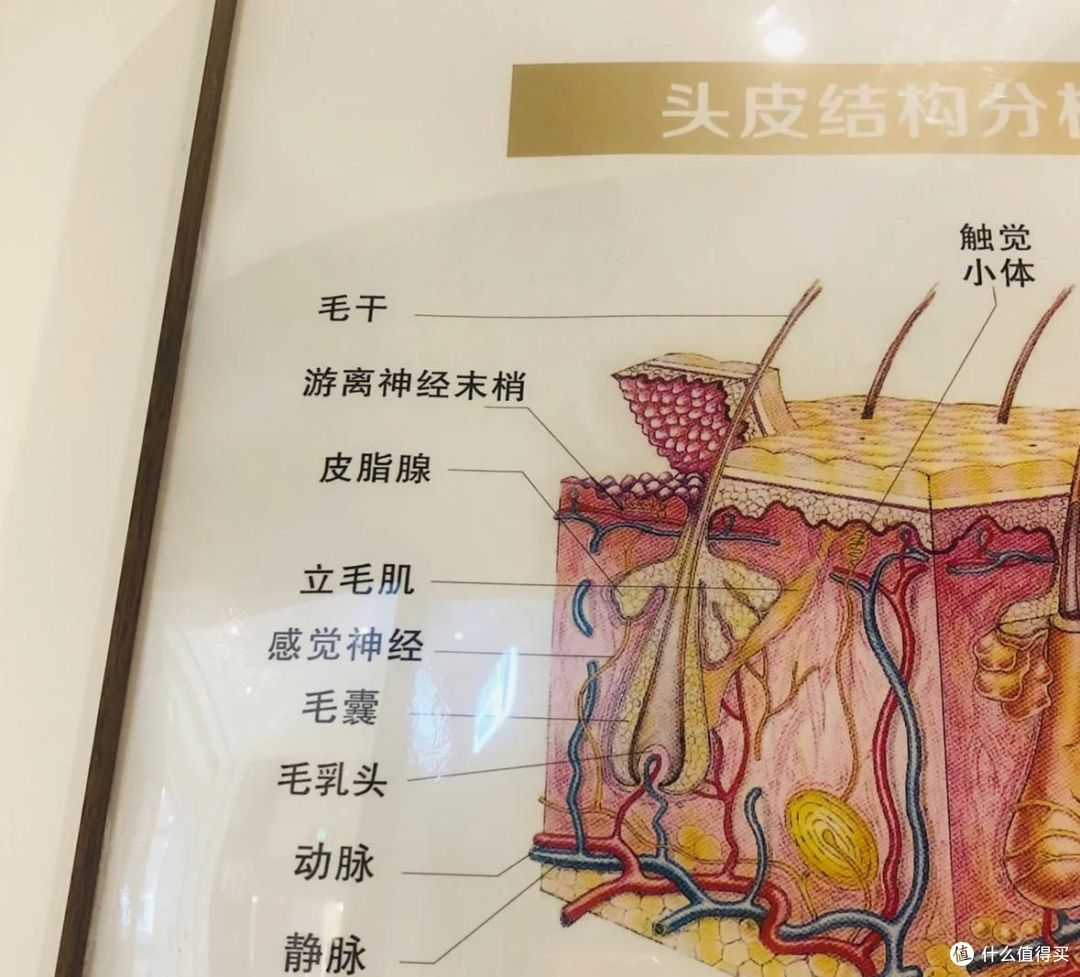 🚨头发越洗越油？错在这一步！油头朋友建议今晚就改🔥