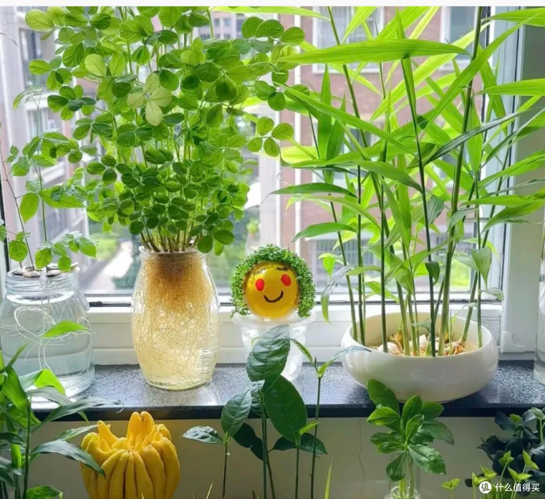 英国留学机构推荐（分类型，按需选择）