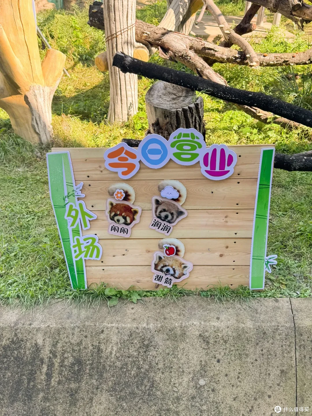 老动物园的困境与希望 | 长春动植物园体验记录