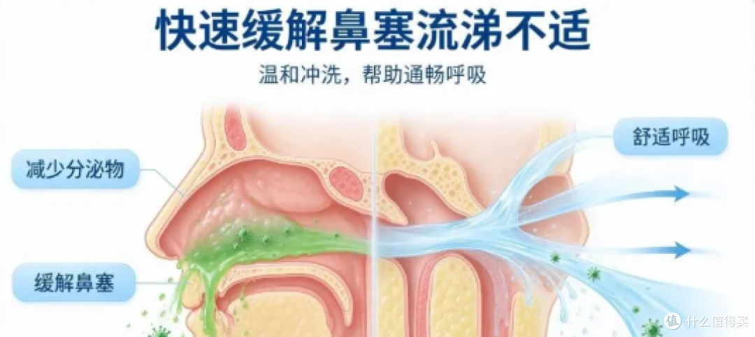 鼻病毒检出率走高｜守护呼吸道，鼻腔清洁别忽视！