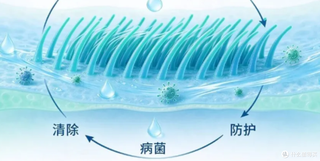鼻病毒检出率走高｜守护呼吸道，鼻腔清洁别忽视！