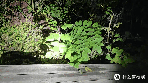 双光源加持,照明检测皆NICE!奈特科尔EDC15双光源轻薄EDC手电