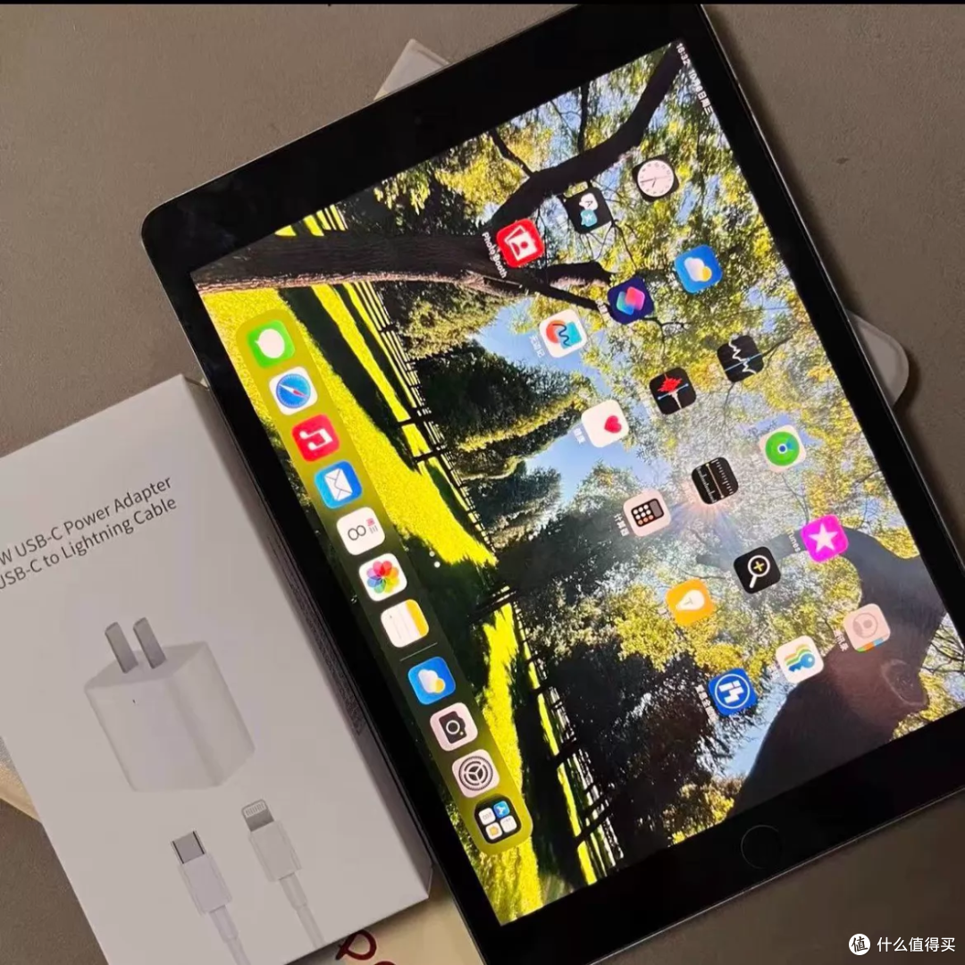 大量iPad Air 3涌入闲鱼,A12-64G,LCD屏不闪眼,睡前追剧不烧心