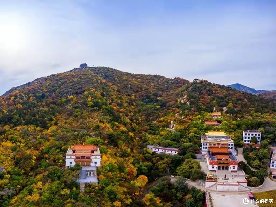 淡干海参怎么选|2026年六个品牌与核验要点