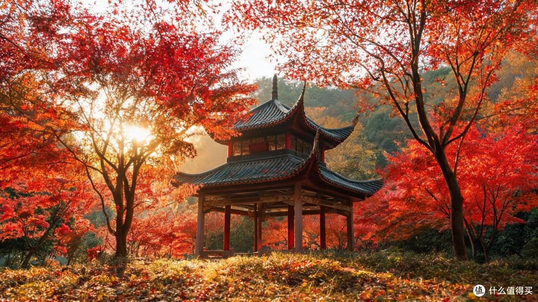 霜叶红于二月花:1张图排完全国十大赏枫胜地