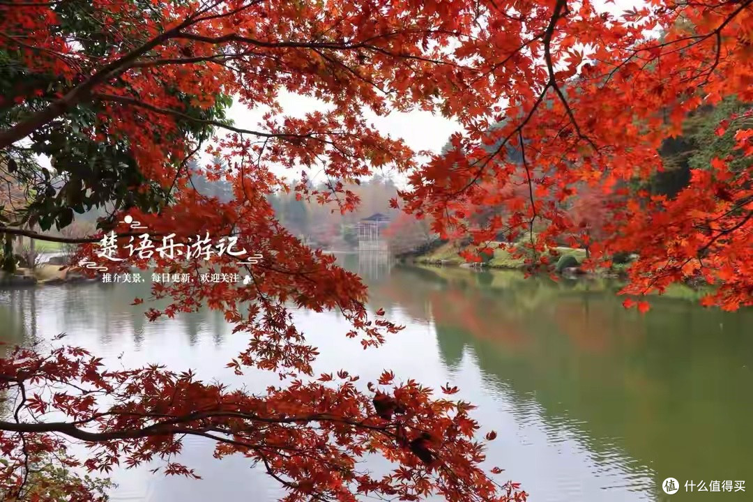 同样写着几百亿,益生菌标签到底在说什么