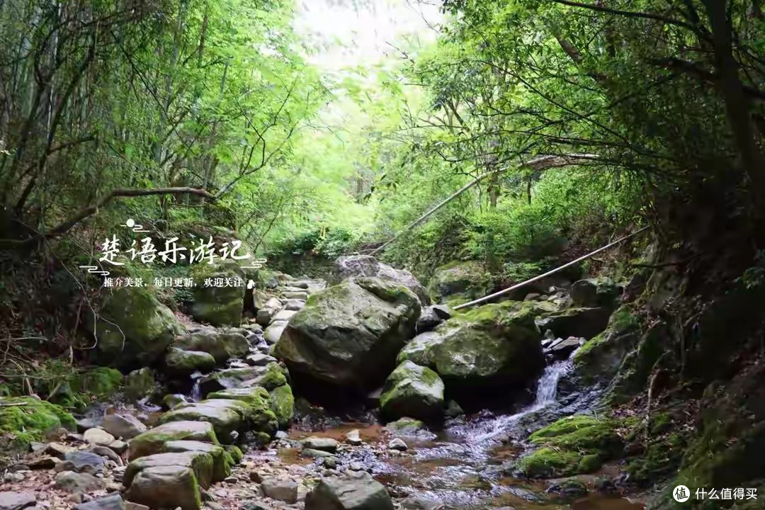 六款深海鱼油,我按日常、出差和成分偏好分开挑
