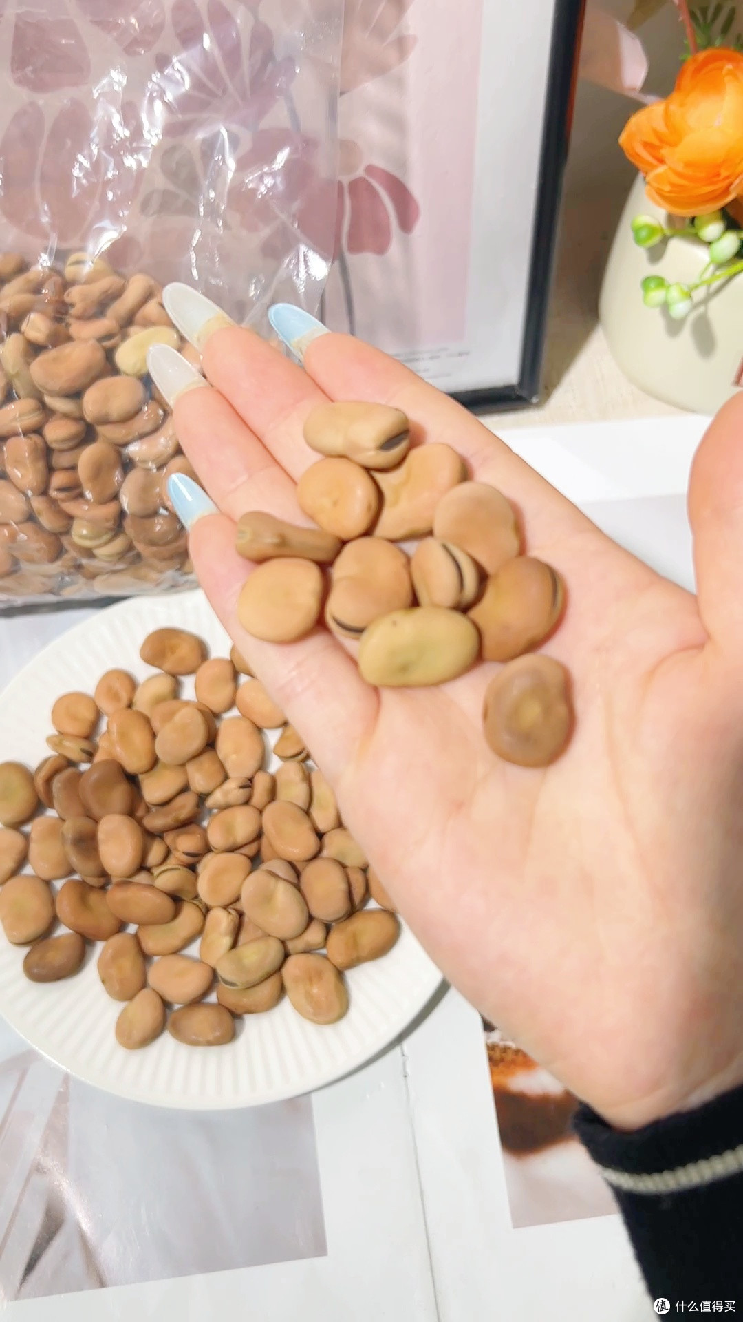 山地生蚕老品种,云南农家干蚕豆新货