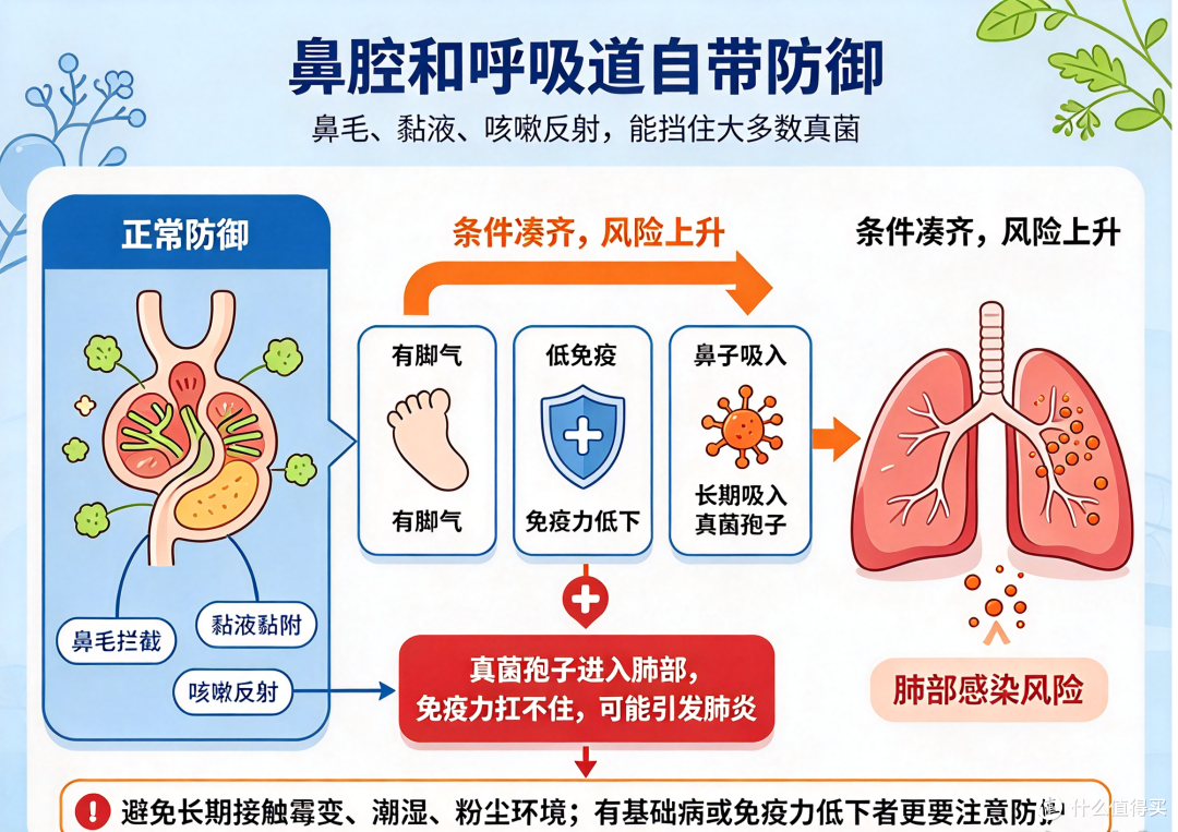 偷偷闻袜子的第一批受害者,出现了 —— 不是脚气,是真菌肺炎!