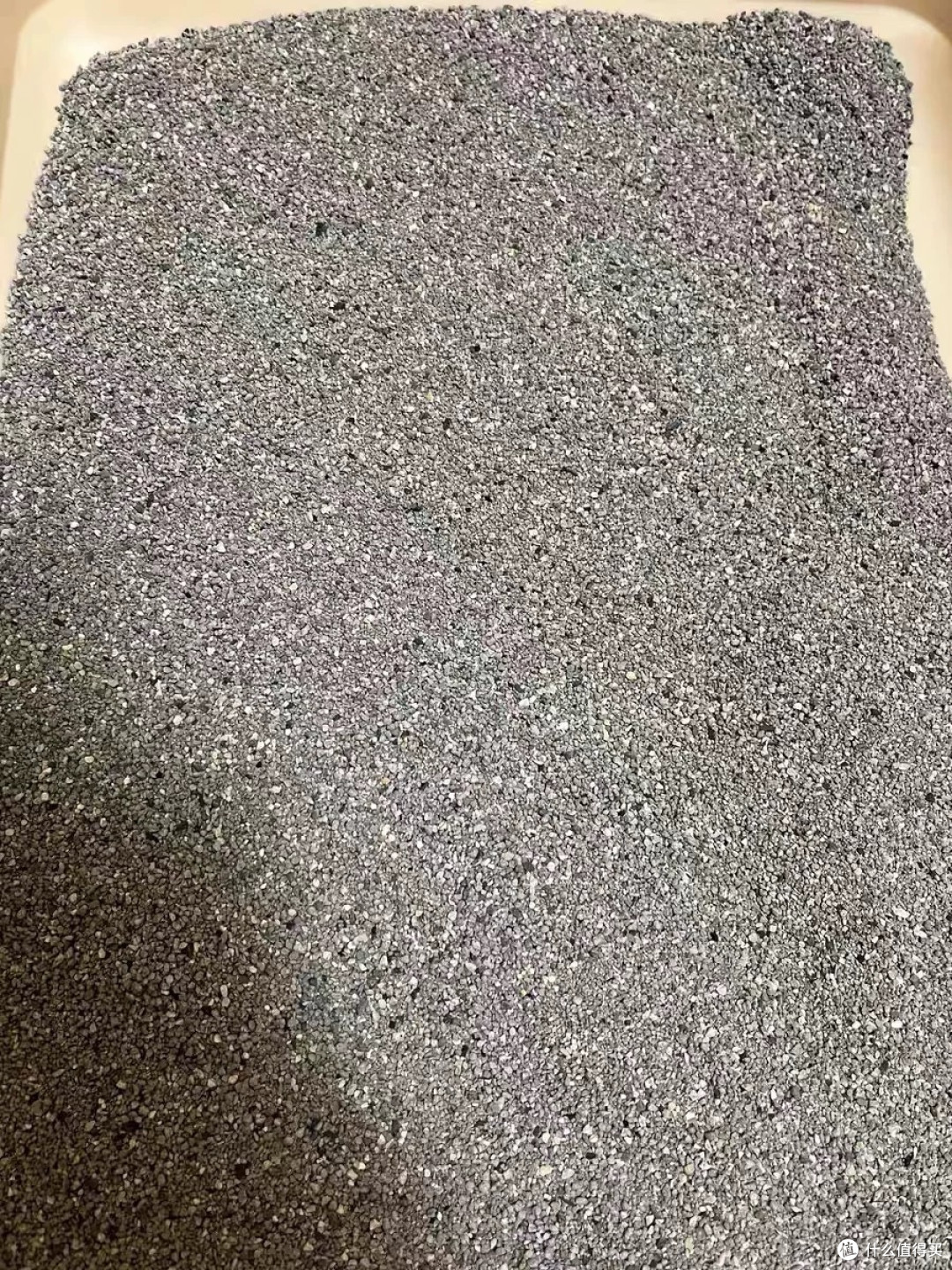 终于找到一款“无味”的猫砂了,不是香精盖味的那种🚫🌸