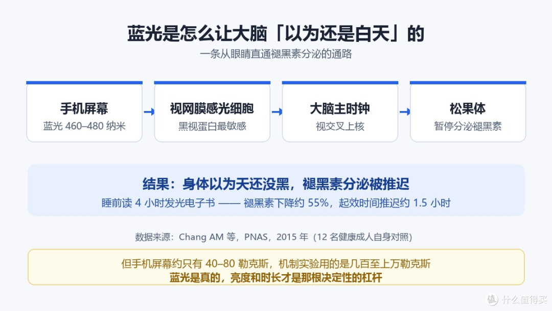 越刷越清醒不是意志力问题，是手机按住了这三个开关?