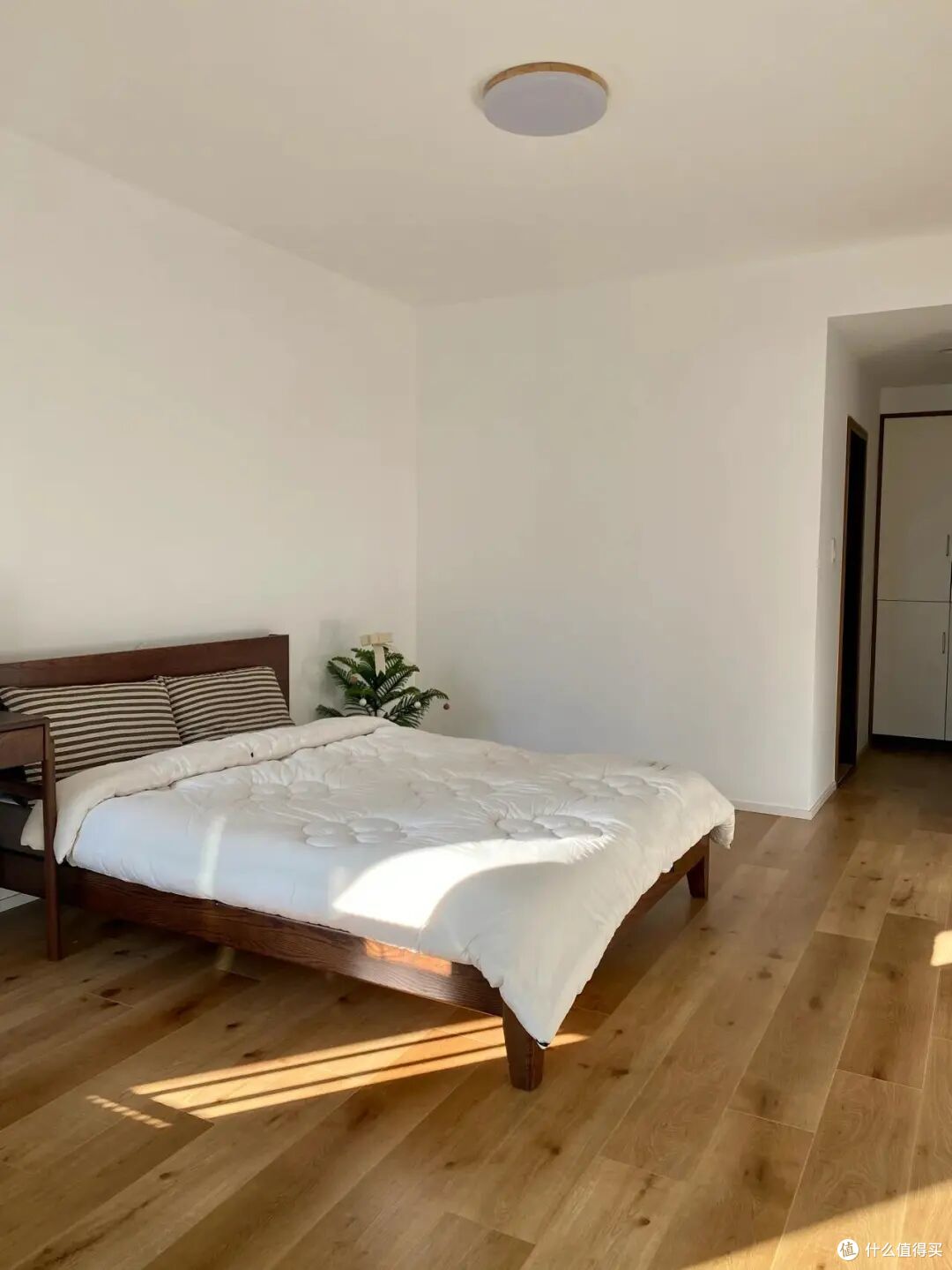 被这届年轻人的“住商”圈粉了,这才叫真正会过日子