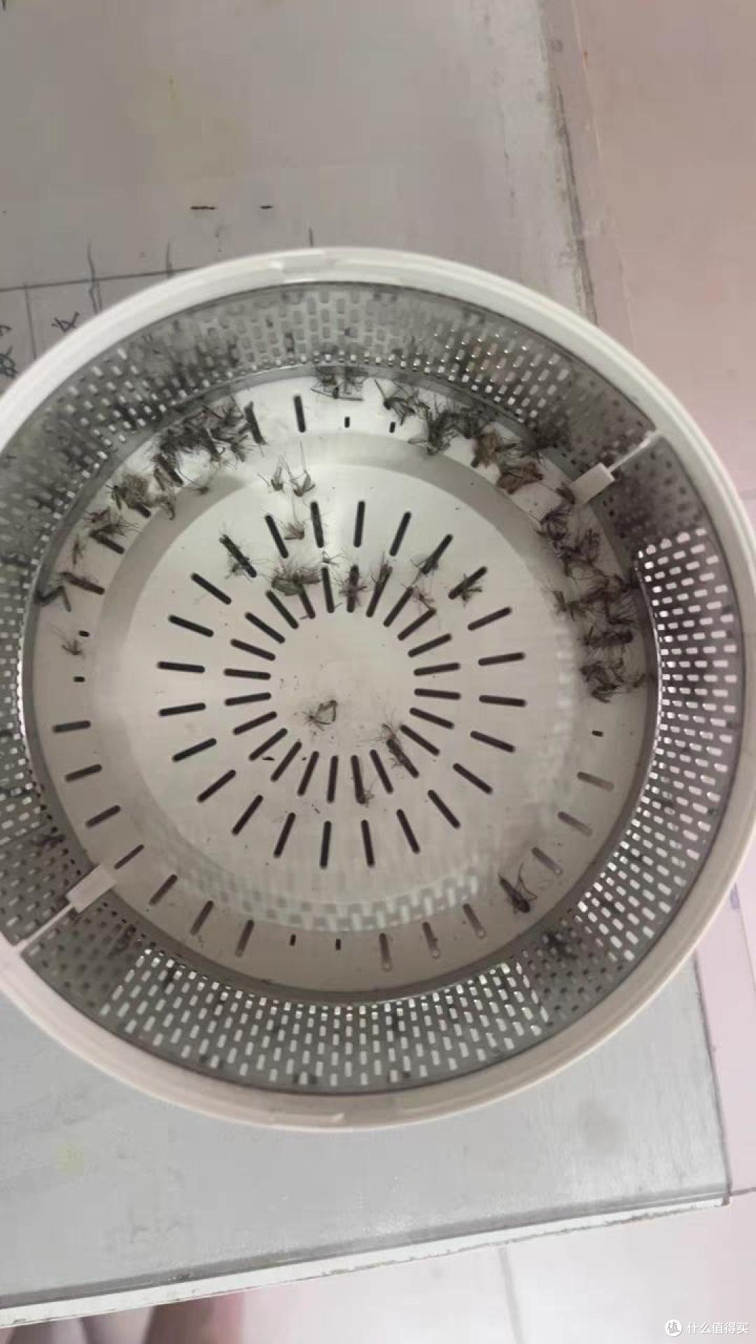 希亦-K-LAMP灭蚊灯:夜间生活小助手,让你摆脱蚊虫叮咬