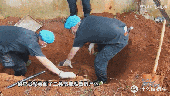 5.9 万人、2 吨证据:央视这部缅北纪录片,比《孤注一掷》狠十倍