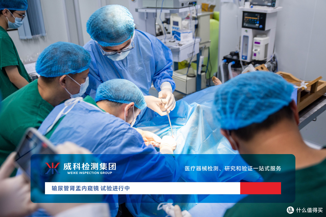 OECD GLP 医疗器械动物试验完整流程，注册申报一步到位