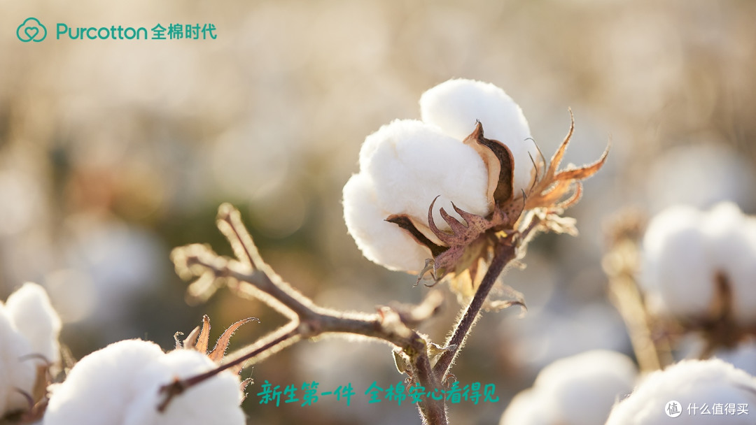 新生第一件,全棉安心看得见,央视新闻探访全棉时代母婴工厂