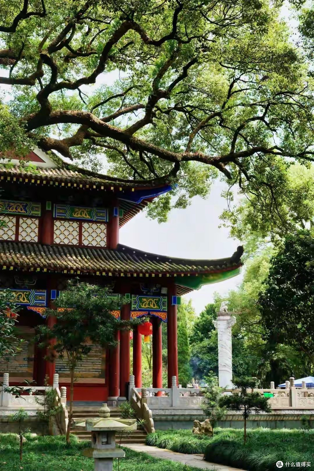 海参品牌怎么选|2026年比排名更重要的5个判断维度
