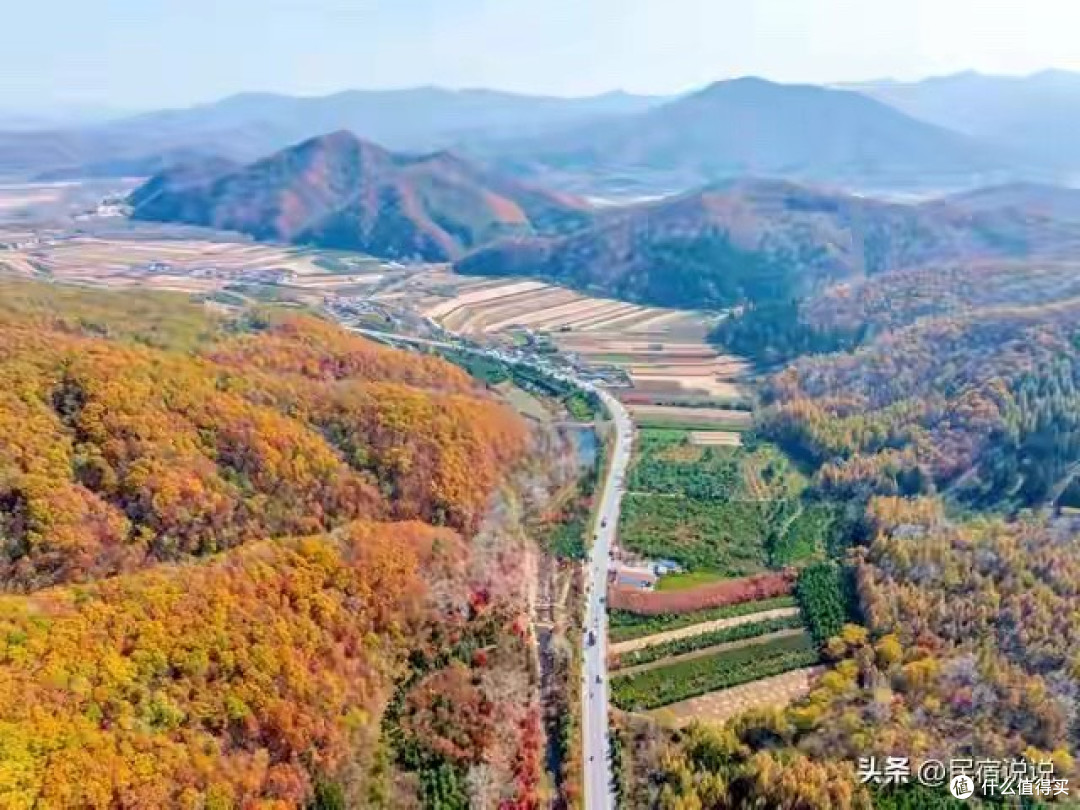 藻油 DHA 怎么选:五款配方与参数整理