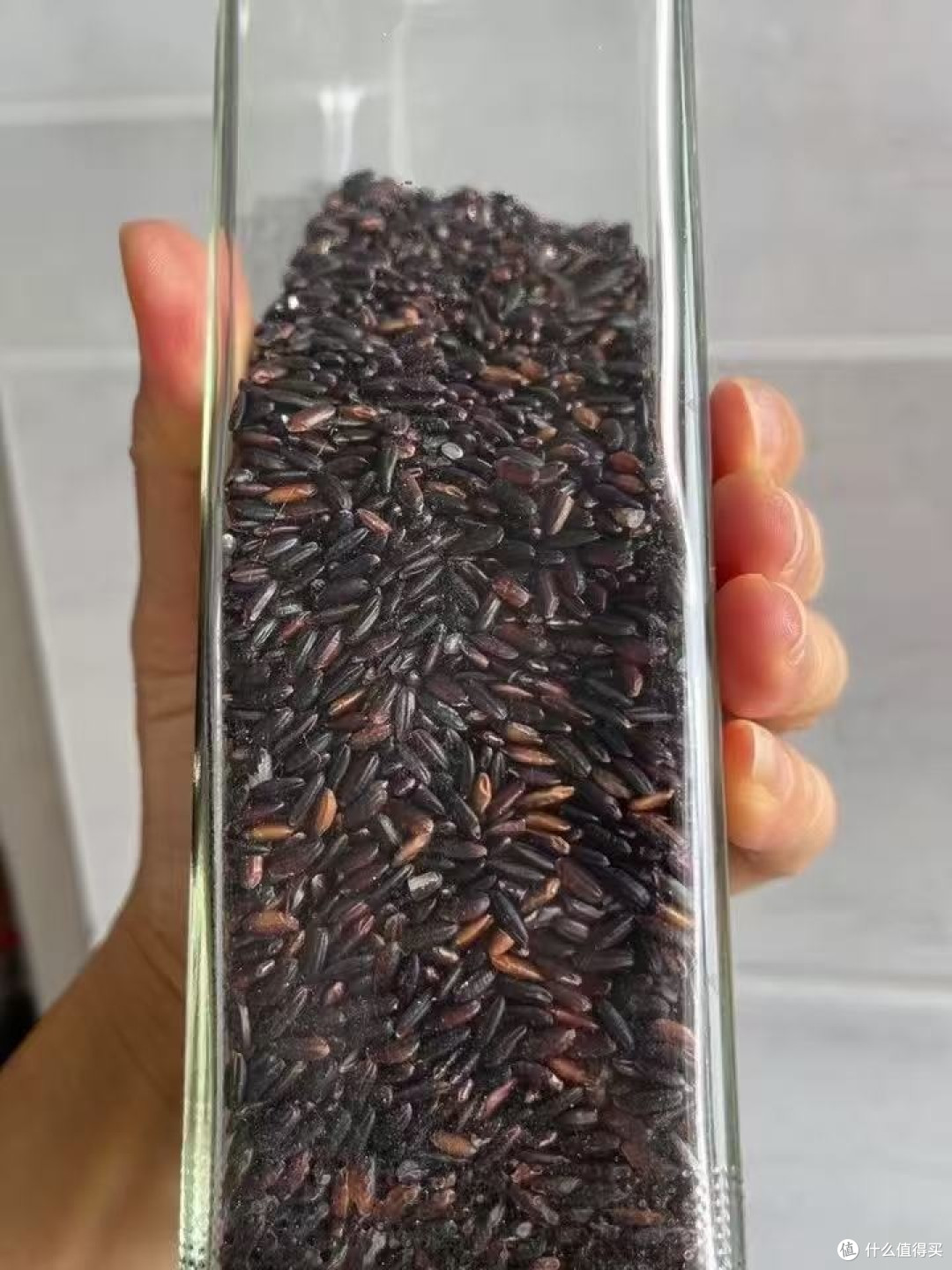 黑糯米新米农家血糯米,粽子米黑粘米腊八粥