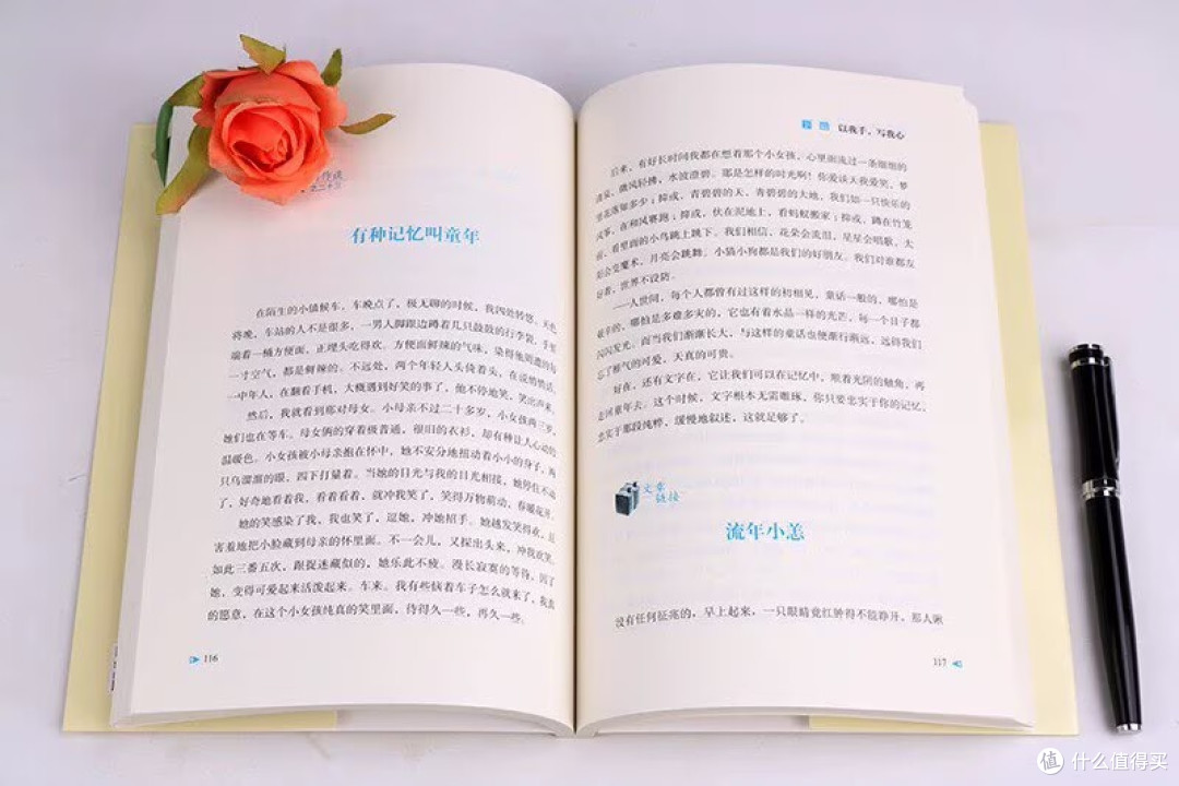 丁立梅《风景这边独好》✨