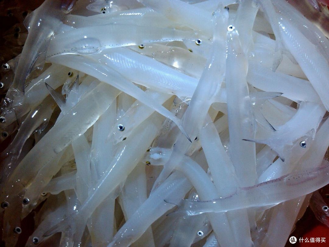 全国哪的“银鱼”最好吃?经过评选,这10大产区上榜,有你家乡吗