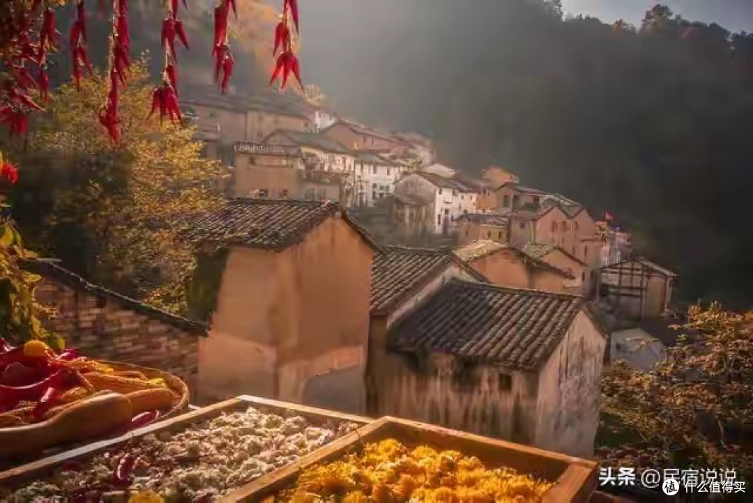 胶原蛋白肽怎么挑:三种剂型的选择思路和产品记录