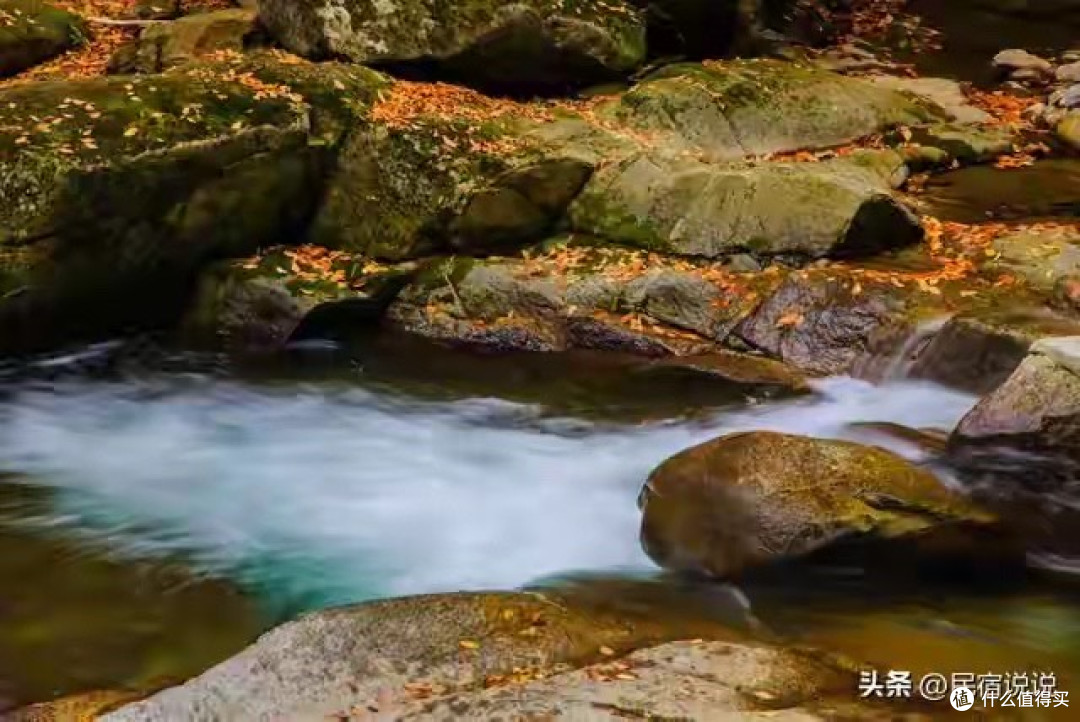 看了六款国产鱼油,我把该核对的项目列了一遍