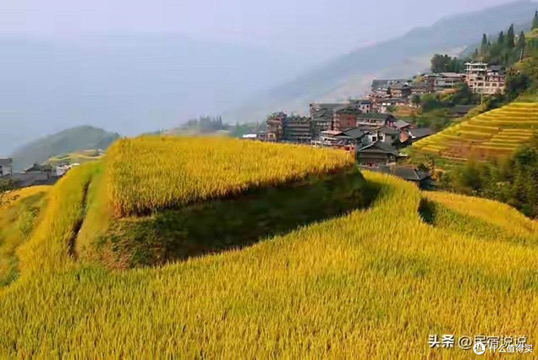 鱼油EPA DHA含量怎么看:8款鱼油标签对比与比例选择