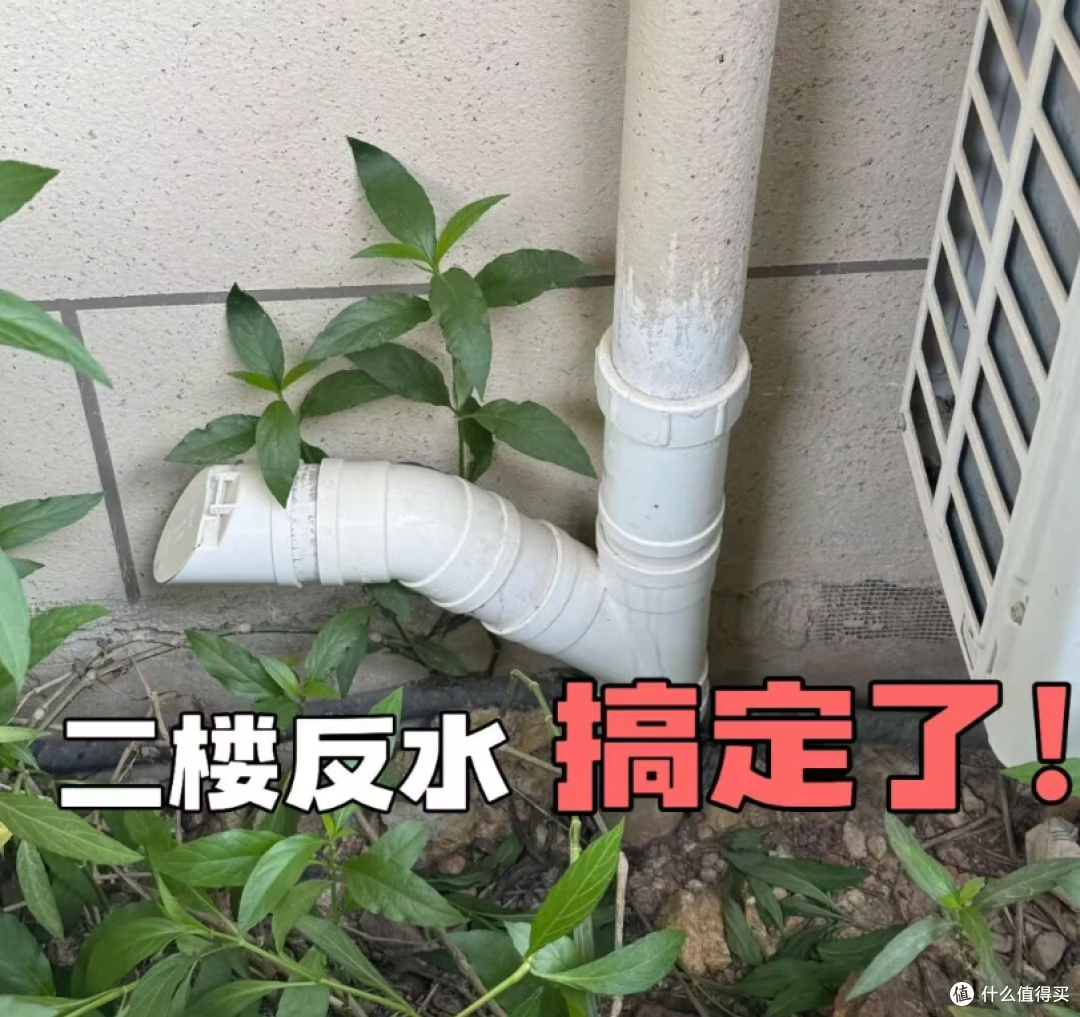 全网嫌弃的二楼,为什么备受年轻人青睐?原来现在流行“树景房”