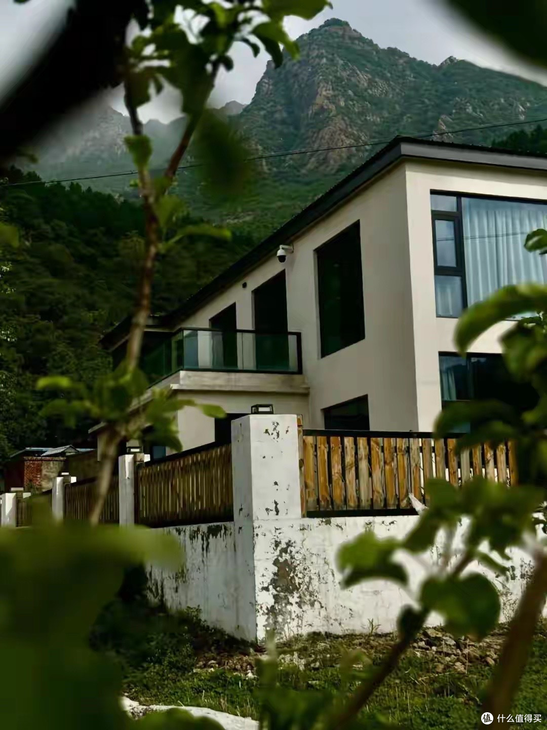 鱼肝油和鱼油是一回事吗?两种补剂别搞混