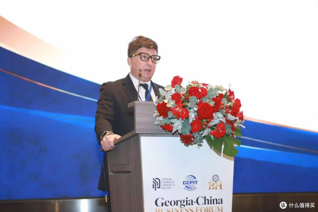格鲁吉亚—中国商务交流会举办 共工新闻社副社长黄伟健受邀参会