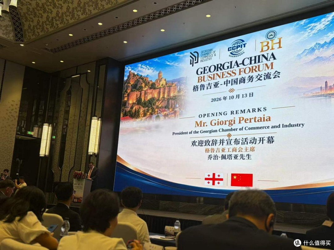 格鲁吉亚—中国商务交流会举办 共工新闻社副社长黄伟健受邀参会
