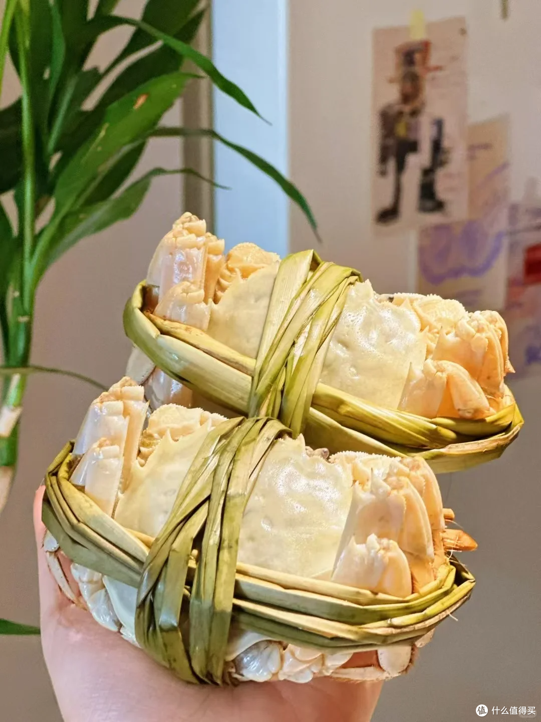 活蟹现货，中秋佳节送礼优选🦀