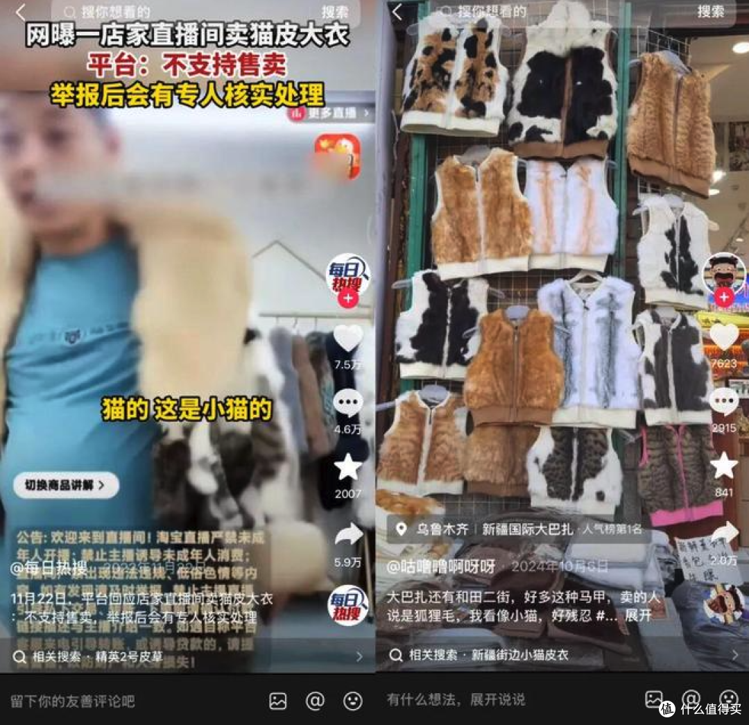 网店售卖狸花猫毛皮制品,把猫皮拿去做衣服?