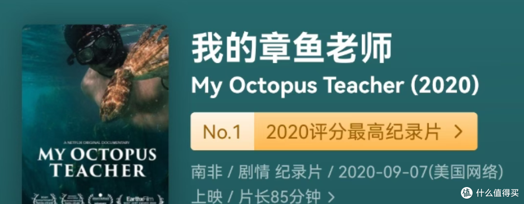 纪录片看得越多，人越不容易被困住：8部回报率极高的神作