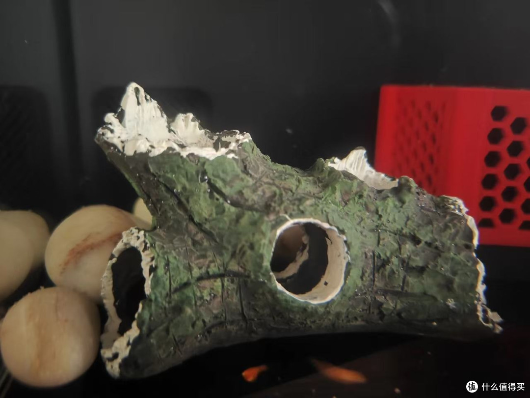 树脂沉木树洞到底安不安全，泡水一个月来说实话