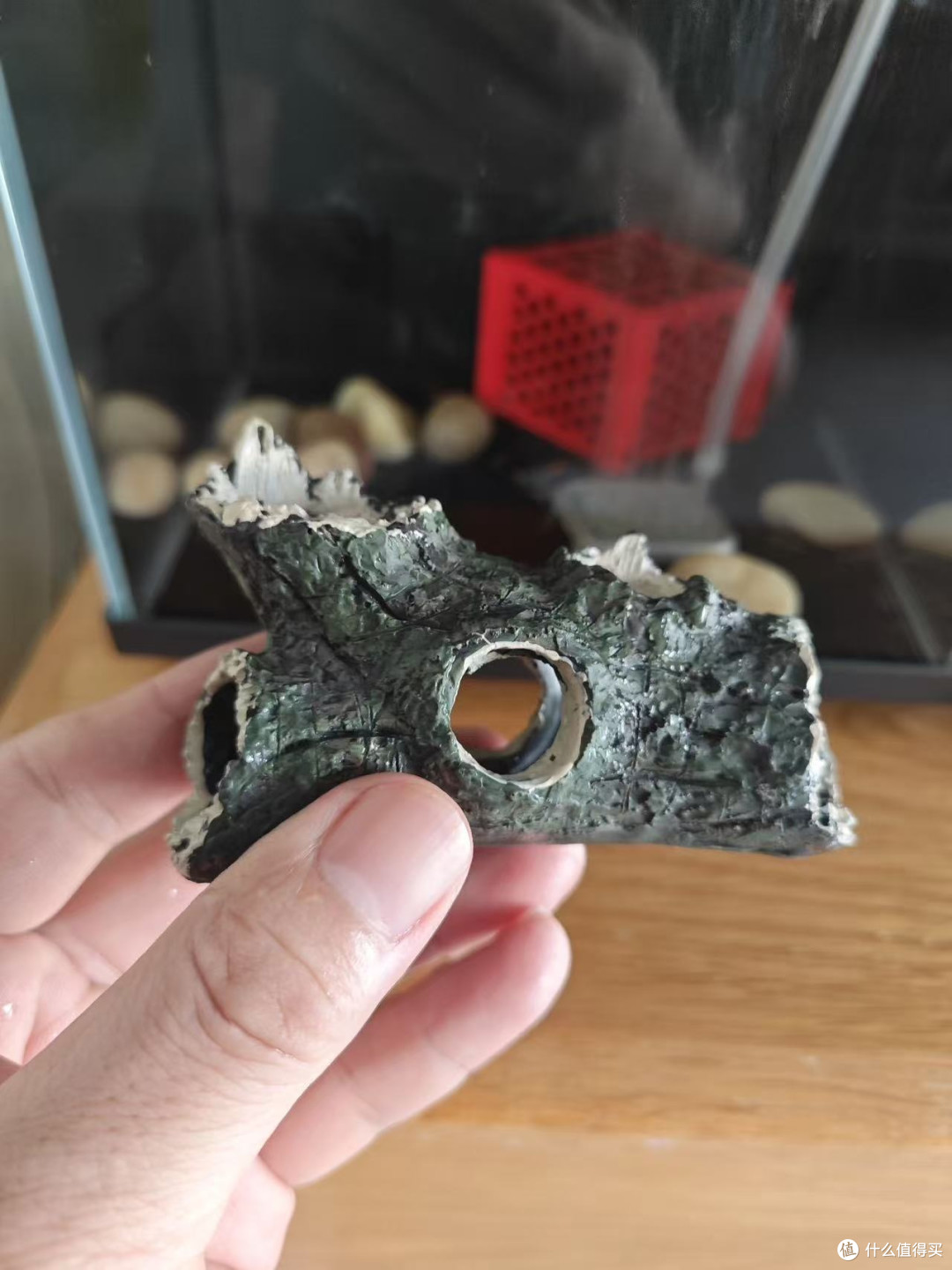 树脂沉木树洞到底安不安全，泡水一个月来说实话