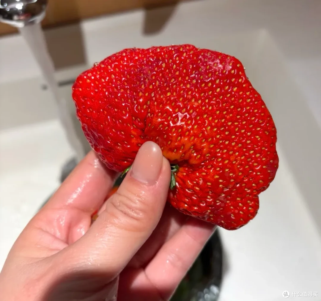 好吧!水果伪装者们,算你们赢了