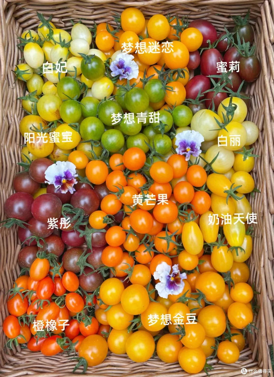 好吧!水果伪装者们,算你们赢了