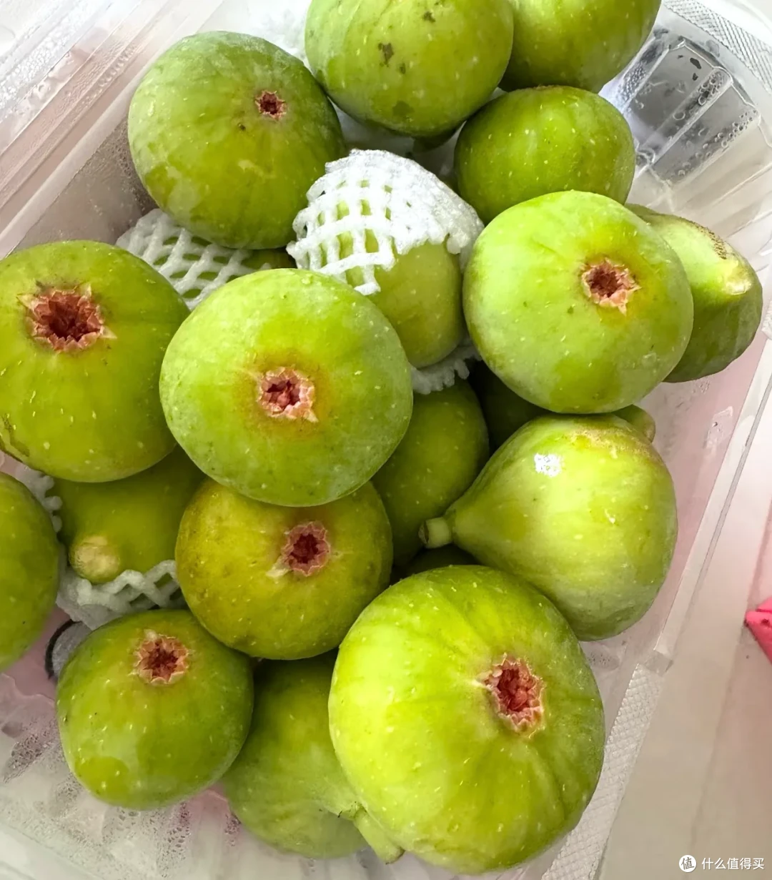 好吧!水果伪装者们,算你们赢了