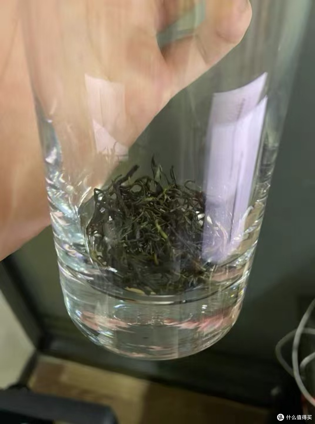 新茶河南毛尖,栗香浓口感醇厚