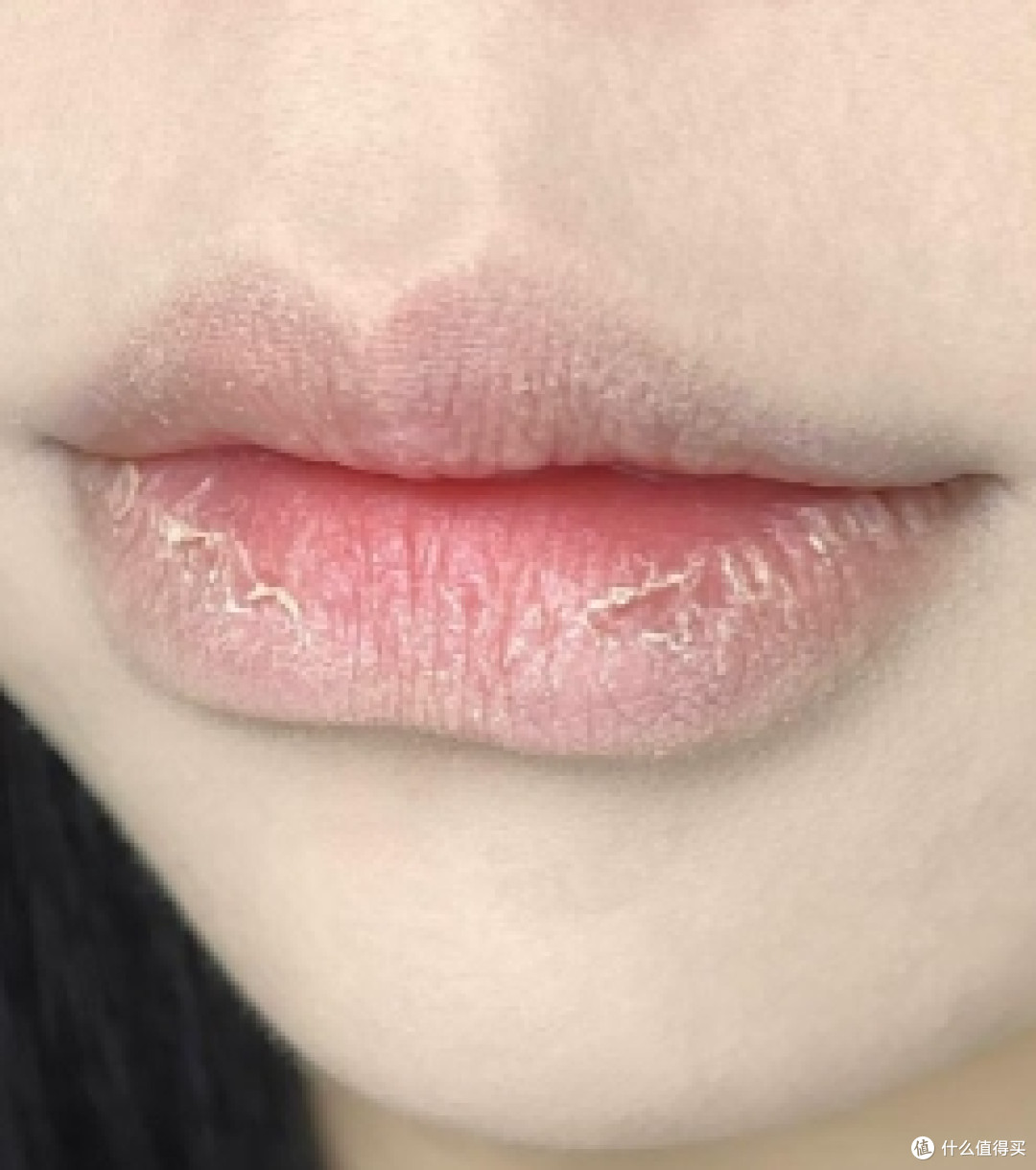 秋冬润唇膏到底怎么选？5款热门平价润唇膏横评对比