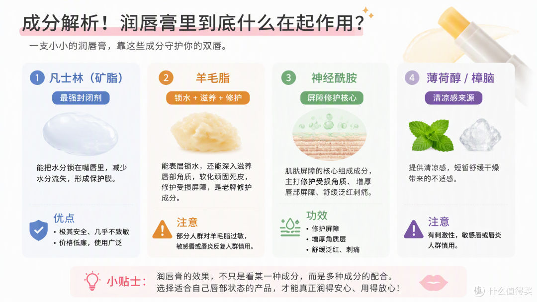 秋冬润唇膏到底怎么选？5款热门平价润唇膏横评对比
