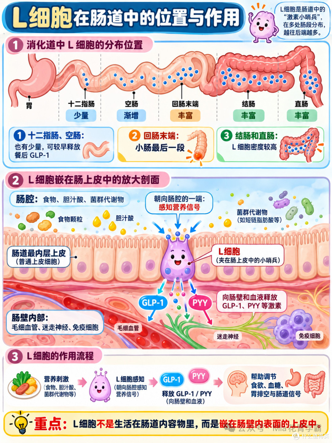 为什么有人“喝凉水都胖”?这篇给你扎心答案