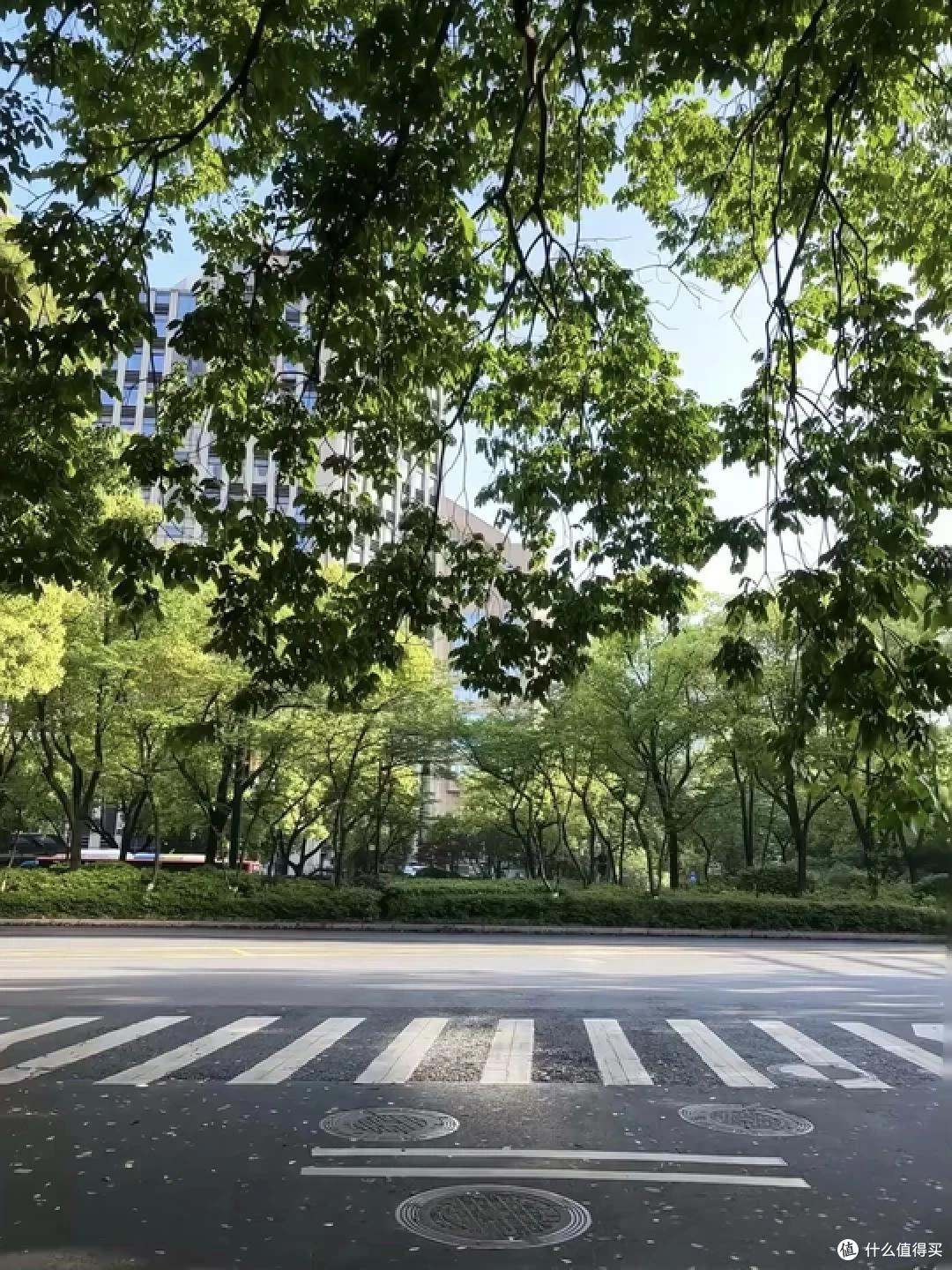 闲暇时翻出耳机，随机播放一首舒缓的曲子